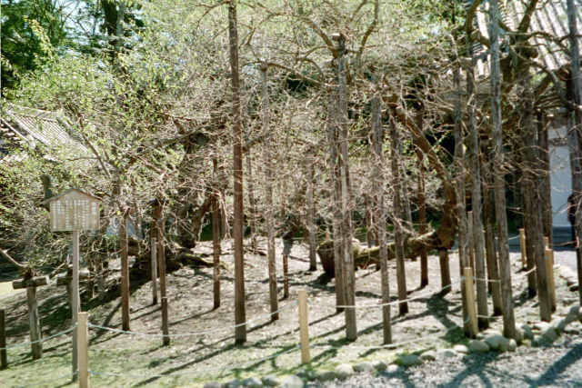slideshow